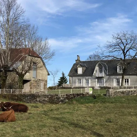 Maison De Charme Au Coeur Des Volcans, Proche De Salers, Avec Jardin Et Activites De Plein Air - Fr-1-742-288 Holiday home *