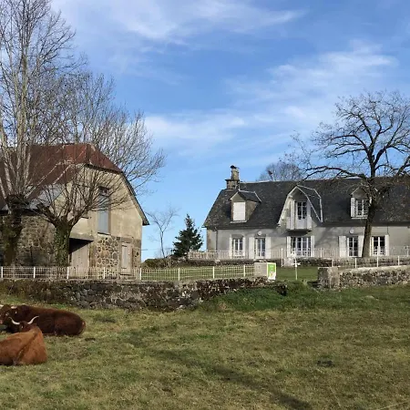 Maison De Charme Au Coeur Des Volcans, Proche De Salers, Avec Jardin Et Activites De Plein Air - Fr-1-742-288 Σπίτι διακοπών *